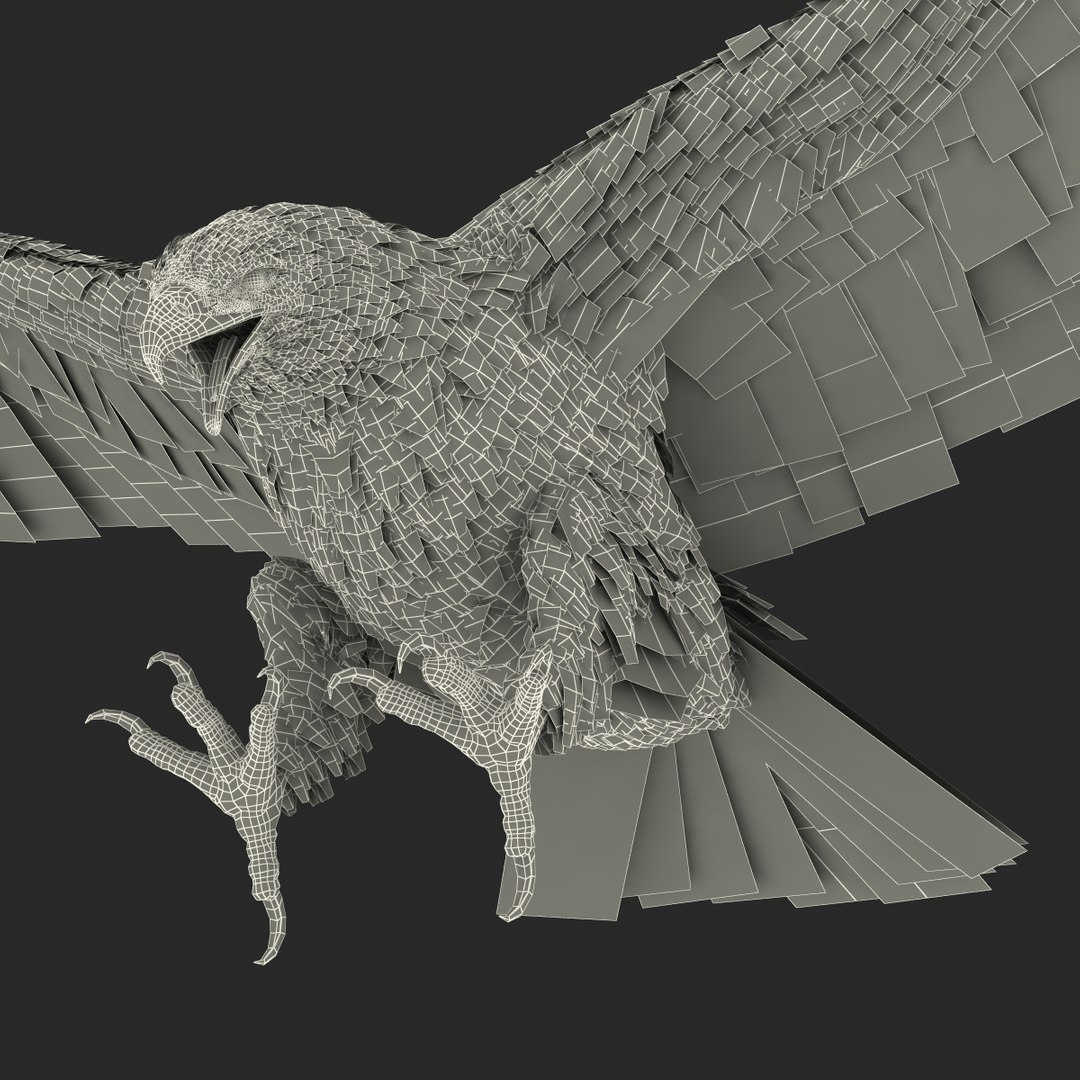 bald eagle pose 2 3d max https://p.turbosquid.com/ts-thumb/9e/dU9jtf/WODnDg5q/baldleagle3dsmodel30/jpg/1446809466/1920x1080/fit_q87/7aab7ed30399d0761336d4680552fa3a409688d1/baldleagle3dsmodel30.jpg