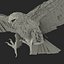Bald Eagle Pose 2