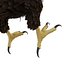 Bald Eagle Pose 2