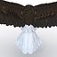 Bald Eagle Pose 2