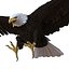 Bald Eagle Pose 2