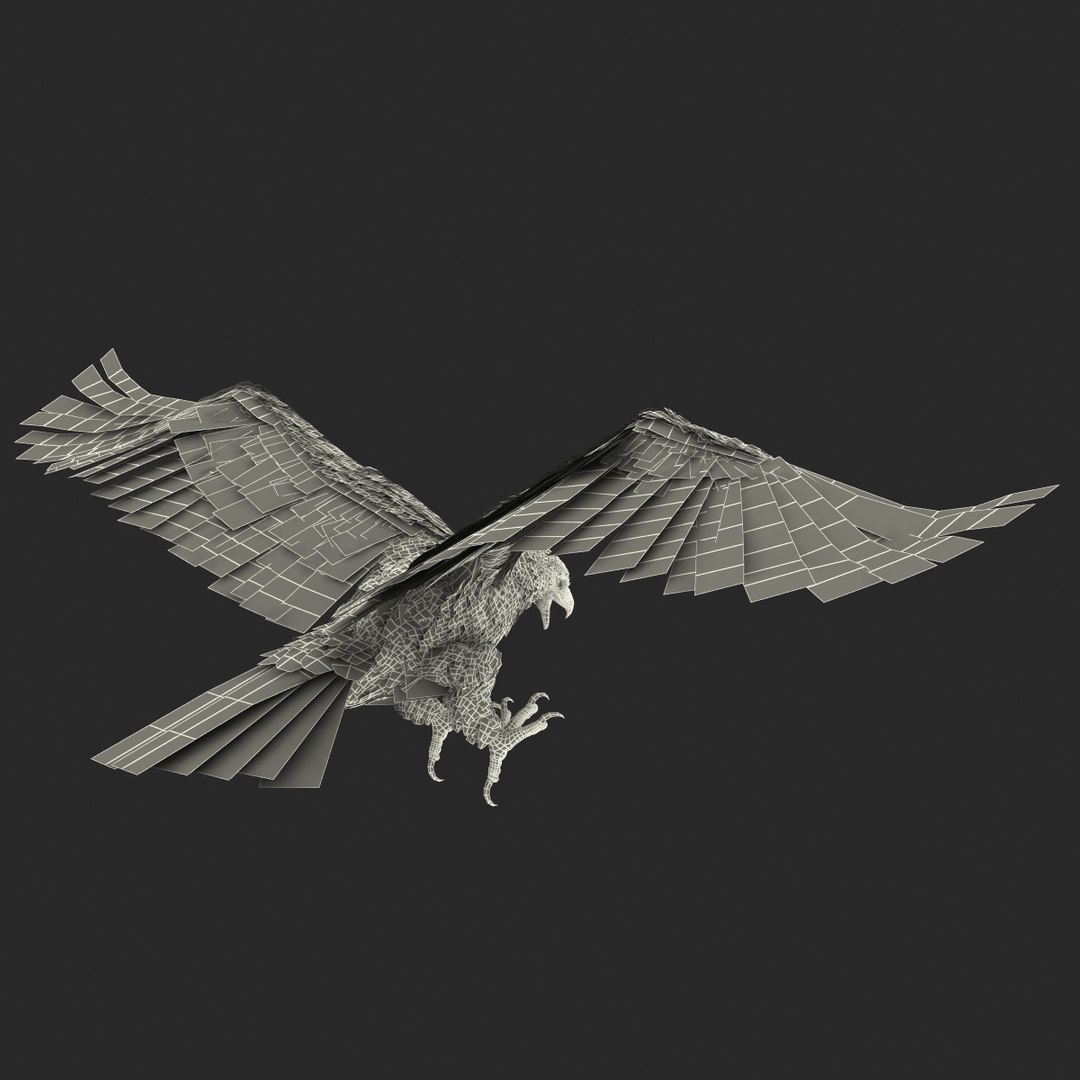 bald eagle pose 2 3d max https://p.turbosquid.com/ts-thumb/9e/dU9jtf/fUaUXdF9/baldleagle3dsmodel27/jpg/1446809466/1920x1080/fit_q87/f416d9b4c47d5aecaa980a961f3ddf151a6f7f9f/baldleagle3dsmodel27.jpg