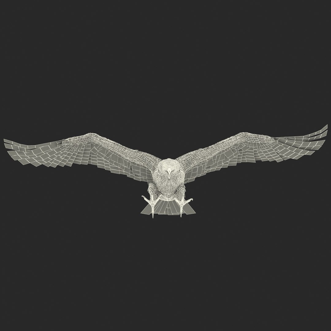 bald eagle pose 2 3d max https://p.turbosquid.com/ts-thumb/9e/dU9jtf/ko0LoOI0/baldleagle3dsmodel29/jpg/1446809466/1920x1080/fit_q87/51b83c64eca0bc0c6a17965fee6cec130a809836/baldleagle3dsmodel29.jpg