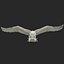 Bald Eagle Pose 2