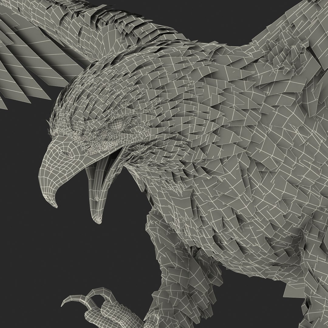 bald eagle pose 2 3d max https://p.turbosquid.com/ts-thumb/9e/dU9jtf/ol3q4AsI/baldleagle3dsmodel31/jpg/1446809466/1920x1080/fit_q87/1fccca1669d5a5887105e590811ce94c15d76c0b/baldleagle3dsmodel31.jpg