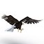 Bald Eagle Pose 2
