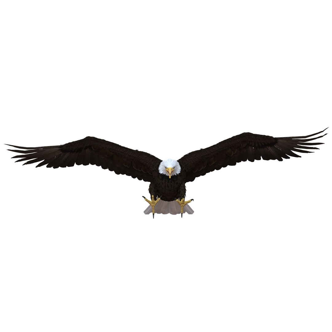 bald eagle pose 2 3d max https://p.turbosquid.com/ts-thumb/9e/dU9jtf/szHRekbw/baldleagle3dsmodel08/jpg/1446809464/1920x1080/fit_q87/2e4d837f73e7ac47b2c649442a116644786ecce3/baldleagle3dsmodel08.jpg