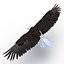 Bald Eagle Pose 2