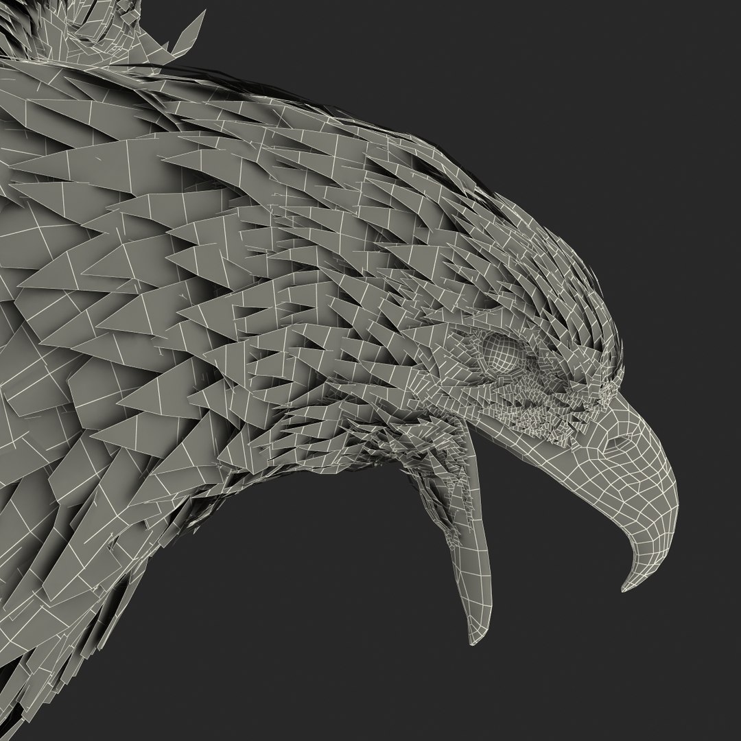 bald eagle pose 2 3d max https://p.turbosquid.com/ts-thumb/9e/dU9jtf/wgeEJjtw/baldleagle3dsmodel34/jpg/1446809467/1920x1080/fit_q87/ecb1e45b8fb41198f52a8b255ea4e888e1d1112a/baldleagle3dsmodel34.jpg