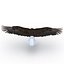 Bald Eagle Pose 2