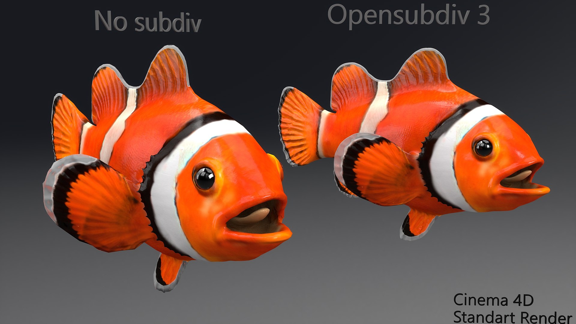 3D Clownfish Animations - TurboSquid 1518681