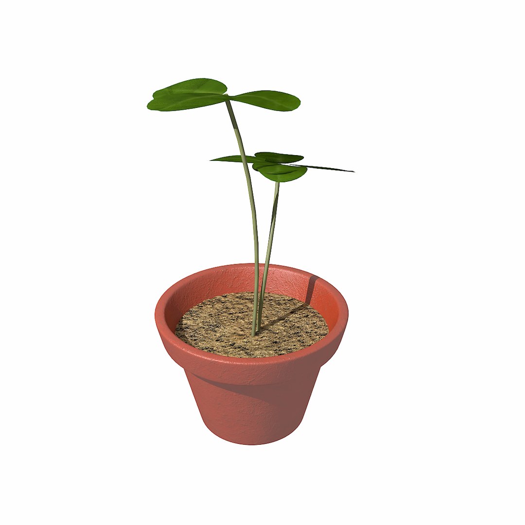 flower pot 3D model https://p.turbosquid.com/ts-thumb/9e/sUOCxd/cq2cKgOG/flowerpot1/png/1583369954/1920x1080/fit_q87/2600daceefc88b5583358a33d19ac40dd563932d/flowerpot1.jpg