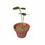 flower pot 3D model