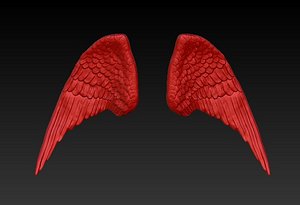 WINGS PAIR