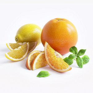 3d citrus fruit mint model