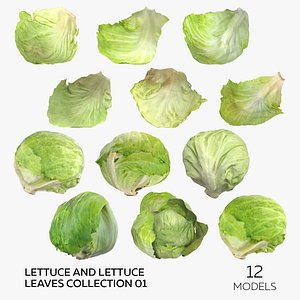 3D model Lettuce and Lettuce Leaves Collection 01 - 12 models
