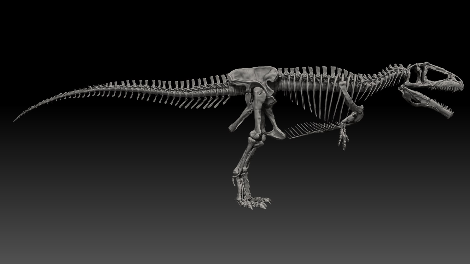 Giganotosaururs Skeletons Project 3D - TurboSquid 1695006