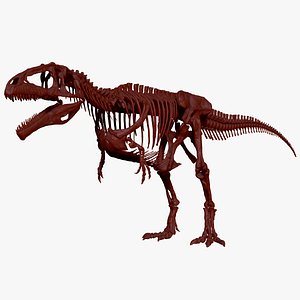Dinosaur Giganotosaururs Full Skeletons Sculpt Project