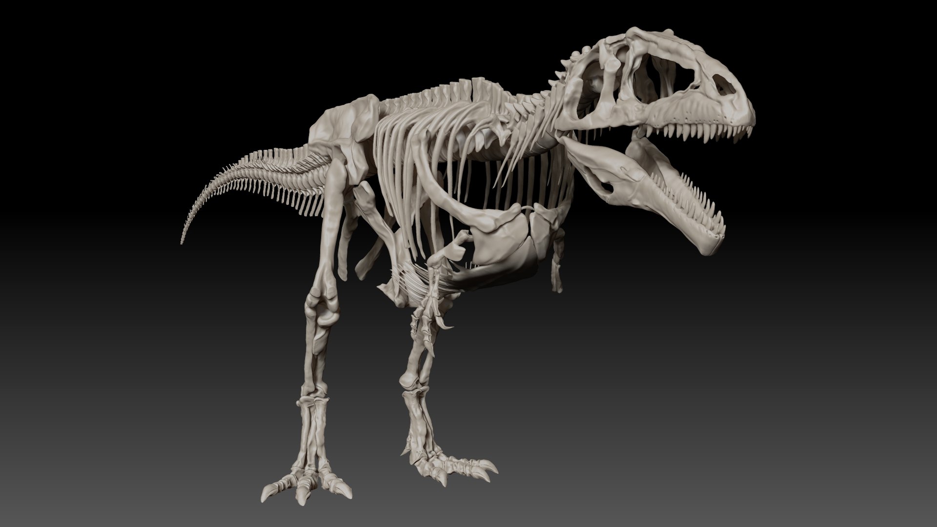 Giganotosaururs Skeletons Project 3D - TurboSquid 1695006