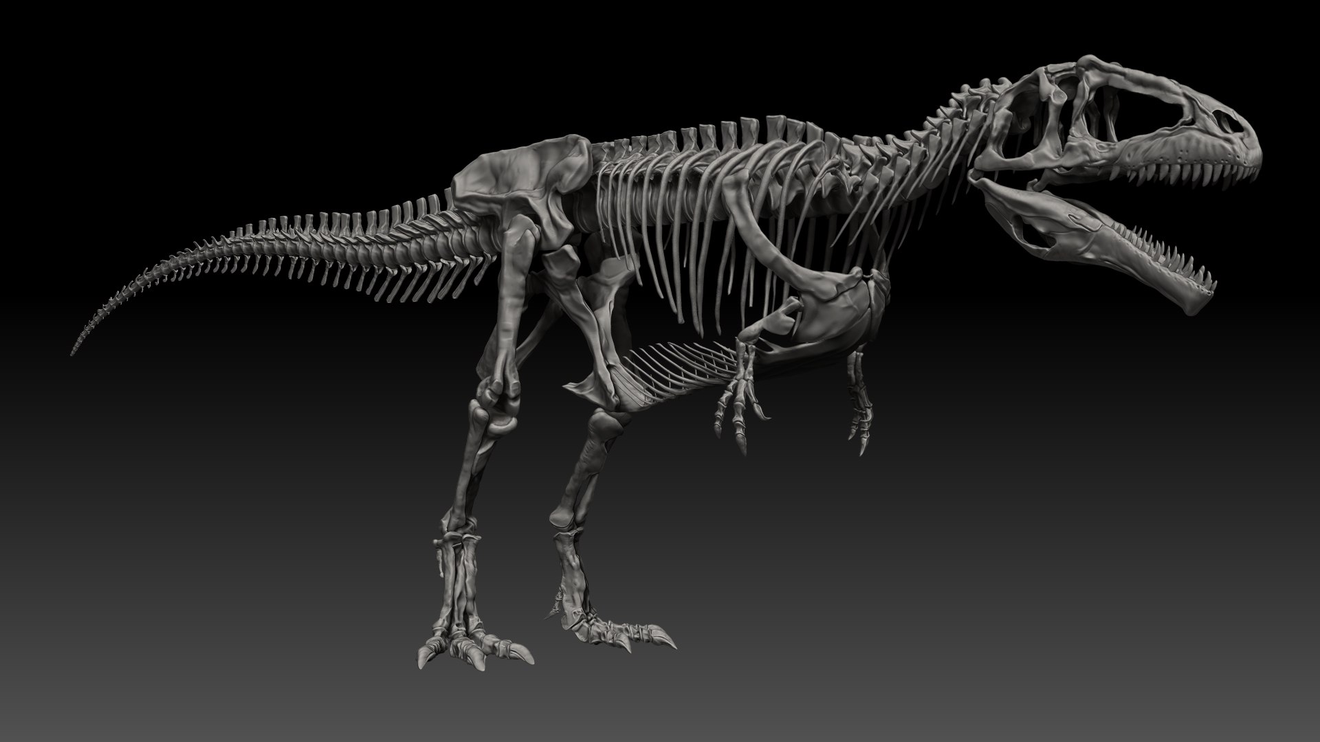 Giganotosaururs Skeletons Project 3D - TurboSquid 1695006