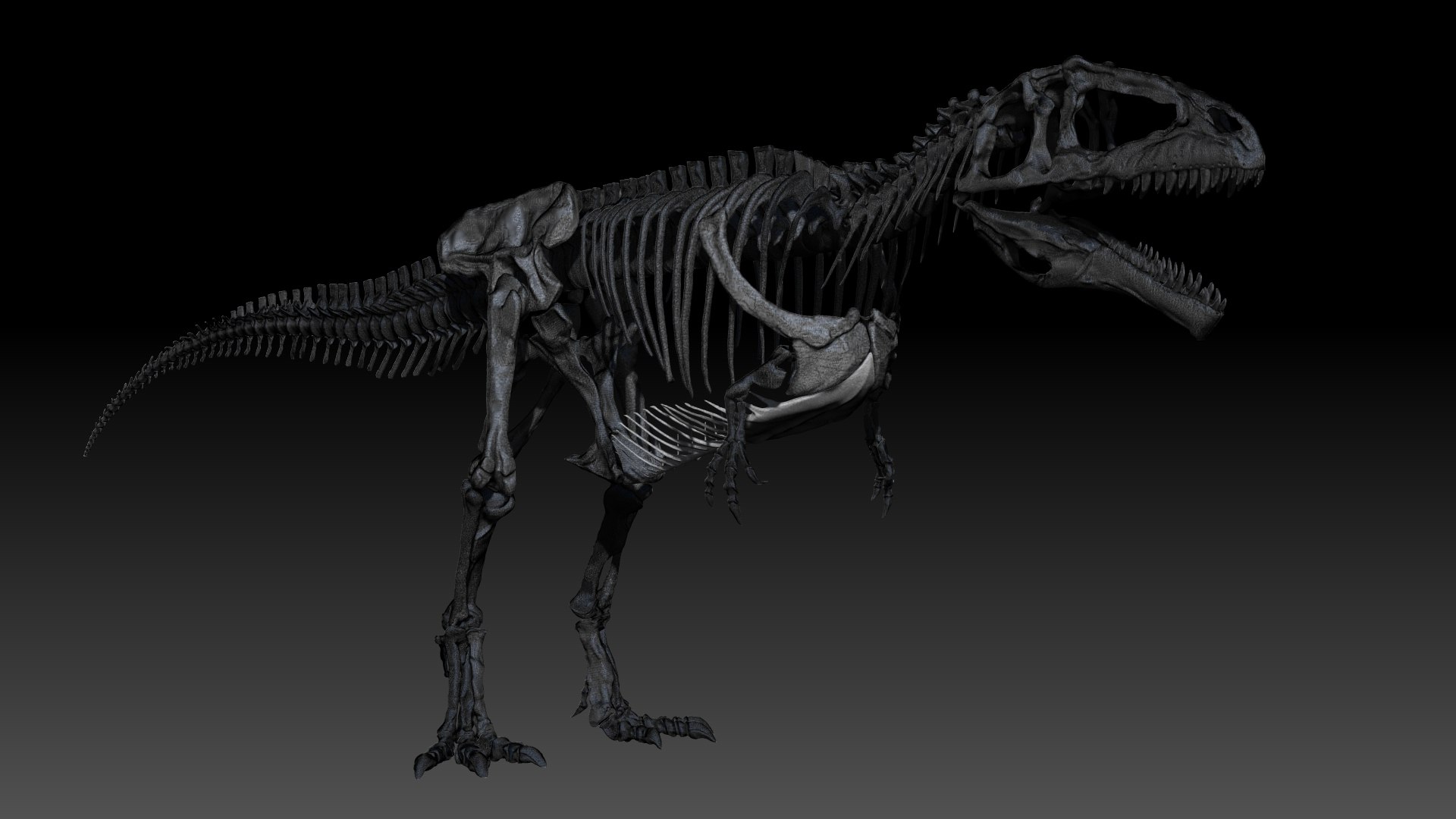 Giganotosaururs Skeletons Project 3D - TurboSquid 1695006