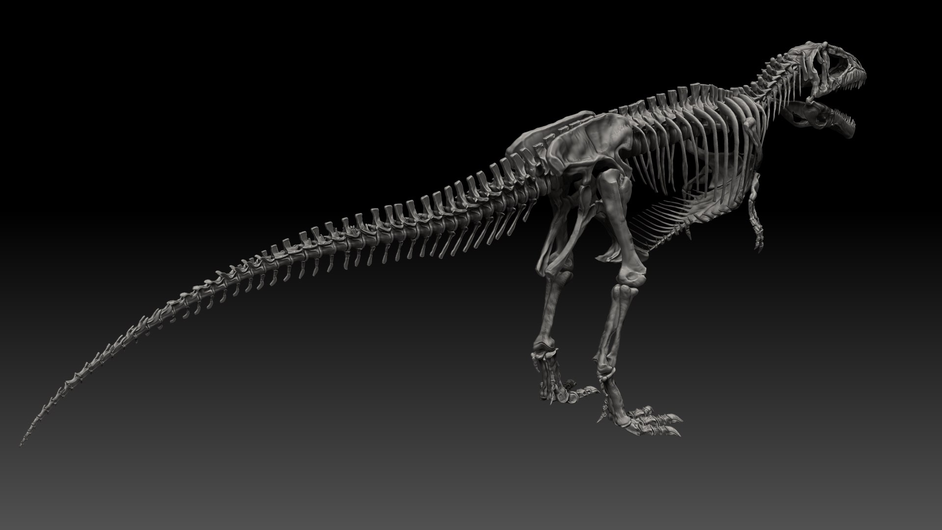 Giganotosaururs Skeletons Project 3D - TurboSquid 1695006