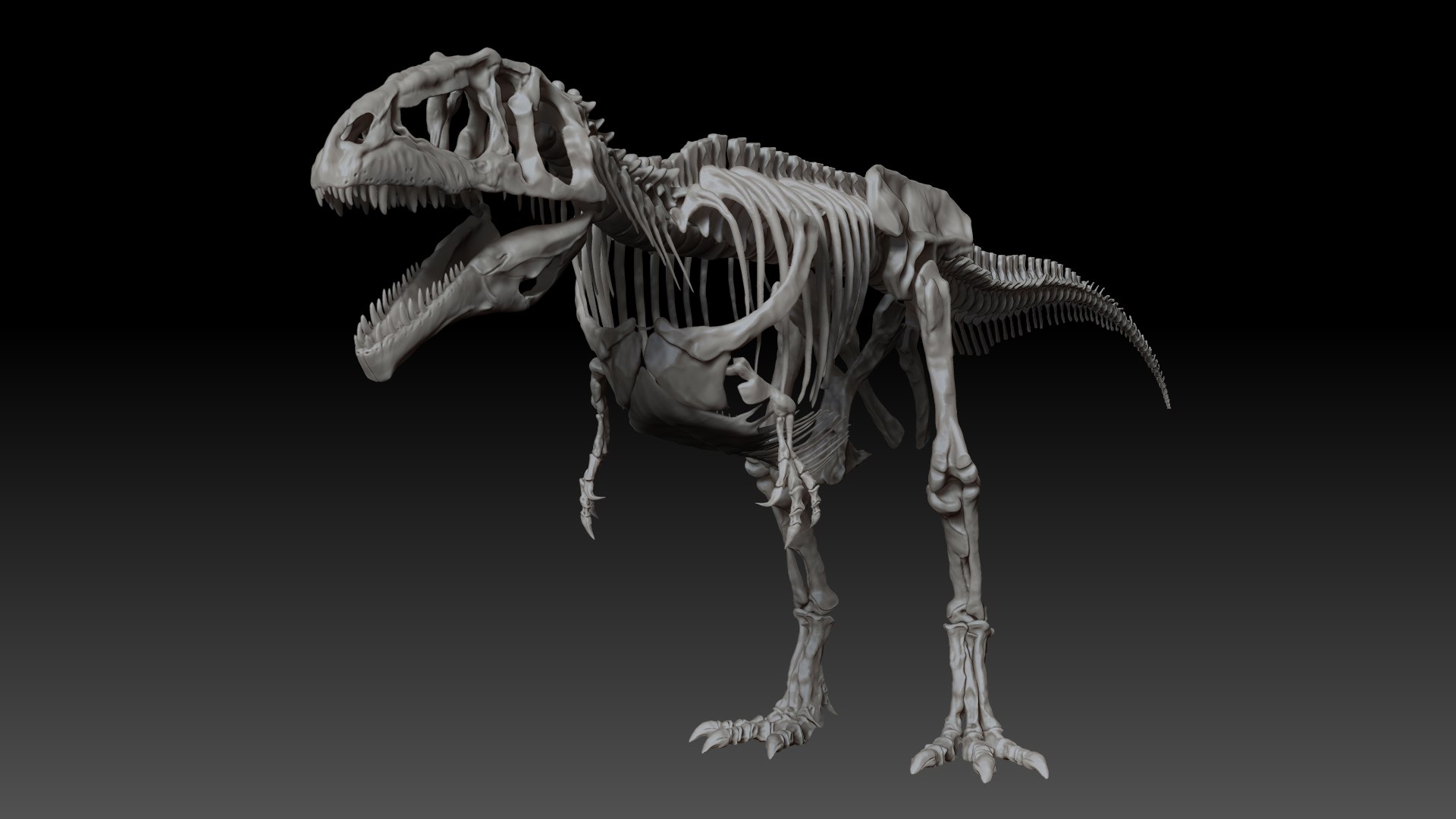 Giganotosaururs Skeletons Project 3D - TurboSquid 1695006