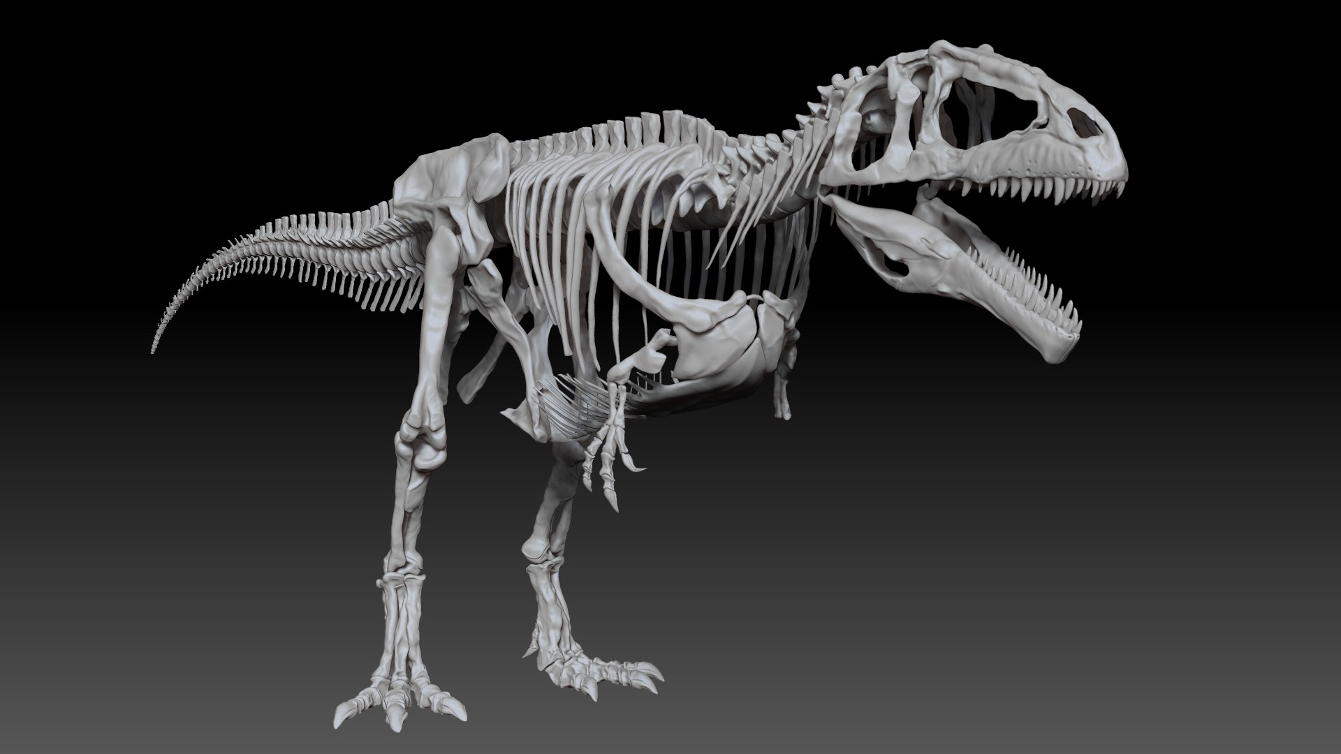 Giganotosaururs Skeletons Project 3D - TurboSquid 1695006