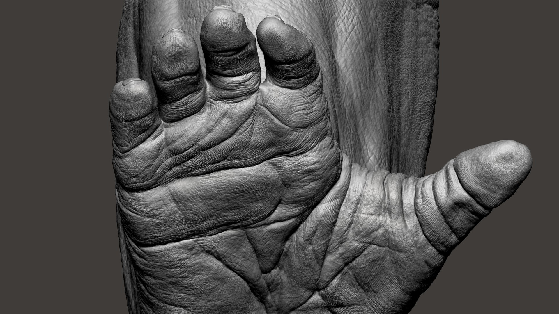 3D model Gorilla Feet https://p.turbosquid.com/ts-thumb/9f/XvRgQ8/0U/48/jpg/1642083940/1920x1080/fit_q87/bf48709a2493a3fbba5984828014a5407dce2098/48.jpg