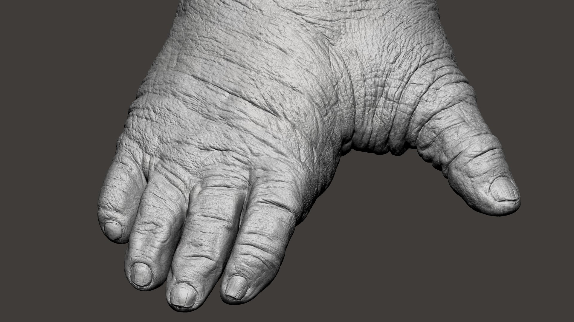 3D model Gorilla Feet https://p.turbosquid.com/ts-thumb/9f/XvRgQ8/9k/45/jpg/1642083940/1920x1080/fit_q87/2f605fc78f39b72052b5f085aba1a14f0297bba7/45.jpg