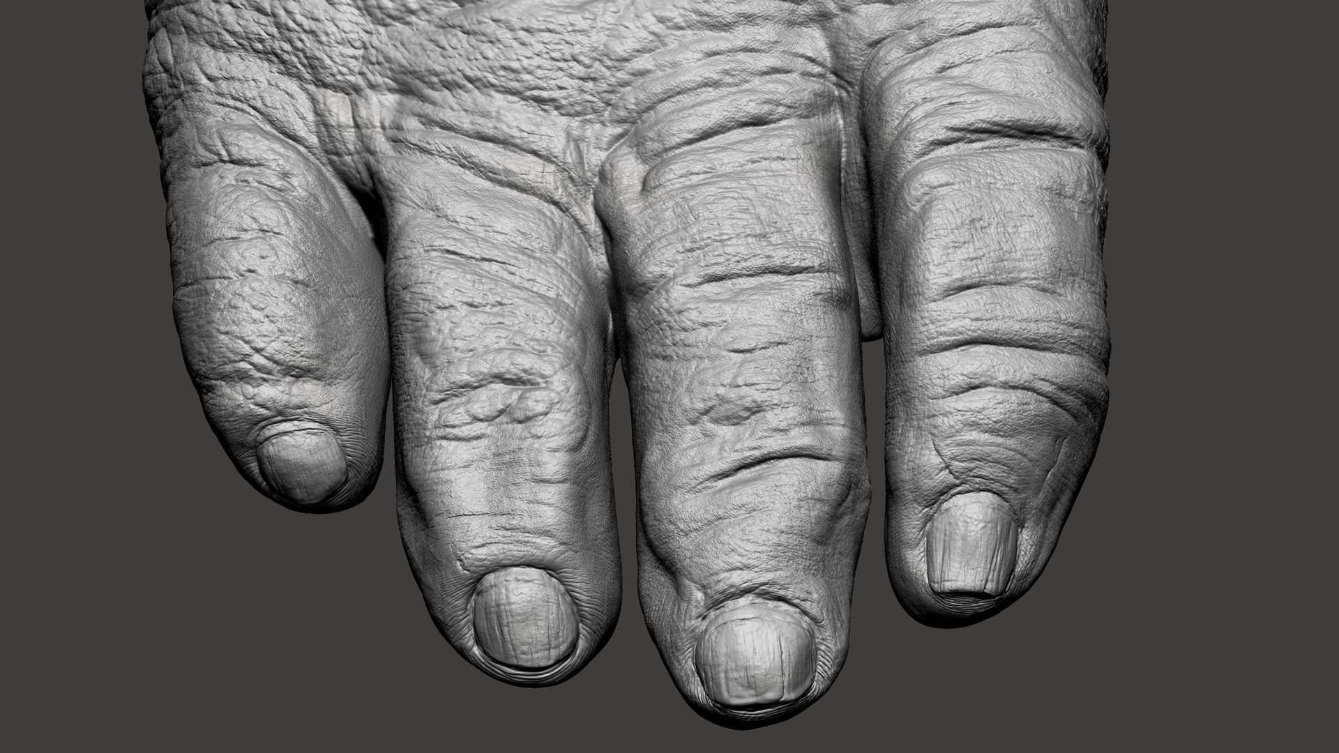 3D model Gorilla Feet https://p.turbosquid.com/ts-thumb/9f/XvRgQ8/C2/52/jpg/1642083937/1920x1080/fit_q87/11b6693be86fb6a99404e4b52f251f2480afa91b/52.jpg