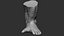 Pieds de gorille