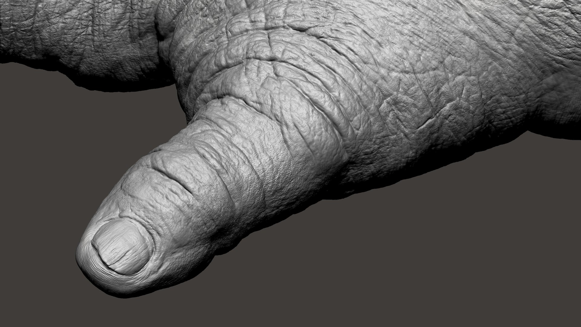 3D model Gorilla Feet https://p.turbosquid.com/ts-thumb/9f/XvRgQ8/M4/53/jpg/1642083937/1920x1080/fit_q87/dee88a04db9b2c6f775283881d161a5877d81f83/53.jpg