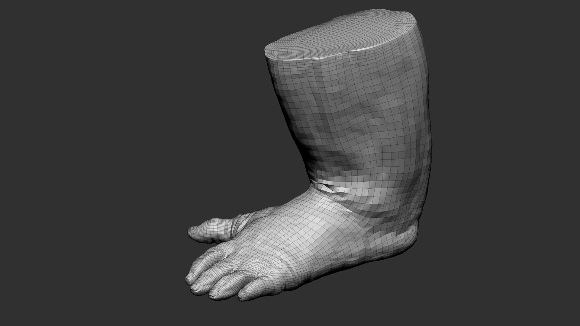 3D model Gorilla Feet https://p.turbosquid.com/ts-thumb/9f/XvRgQ8/gK/77/jpg/1642085439/1920x1080/fit_q87/5c2c174b59327fa4aa41c02771ed6172682ae8c2/77.jpg