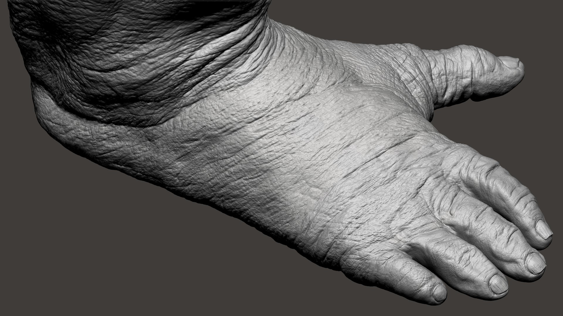 3D model Gorilla Feet https://p.turbosquid.com/ts-thumb/9f/XvRgQ8/iT/44/jpg/1642083939/1920x1080/fit_q87/e8cccf3730eb8aba361155e92c74a85f50439833/44.jpg