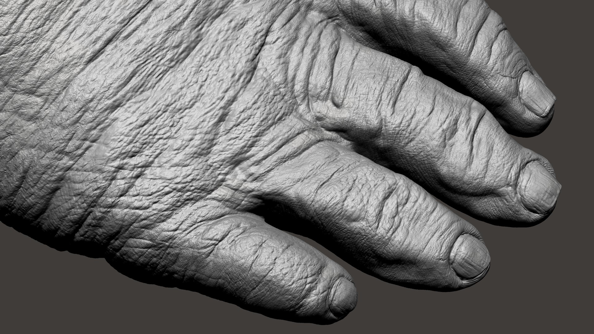 3D model Gorilla Feet https://p.turbosquid.com/ts-thumb/9f/XvRgQ8/jn/55/jpg/1642083942/1920x1080/fit_q87/132f3f110c44d2eb8f2584232410e9ccf46051ab/55.jpg