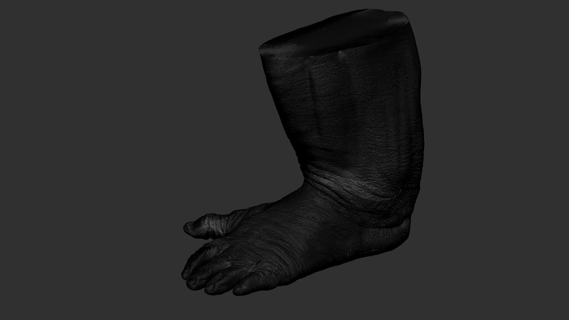 3D model Gorilla Feet https://p.turbosquid.com/ts-thumb/9f/XvRgQ8/mQ/78/jpg/1642085439/1920x1080/fit_q87/11418a42e792819f60f0cc9d2323fa752cda9812/78.jpg