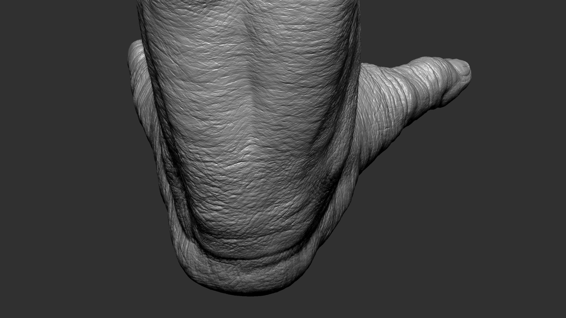 3D model Gorilla Feet https://p.turbosquid.com/ts-thumb/9f/XvRgQ8/rh/6/jpg/1642084263/1920x1080/fit_q87/5f900c3b7402ff02b960ed6cb664e8c47e9f1c2f/6.jpg