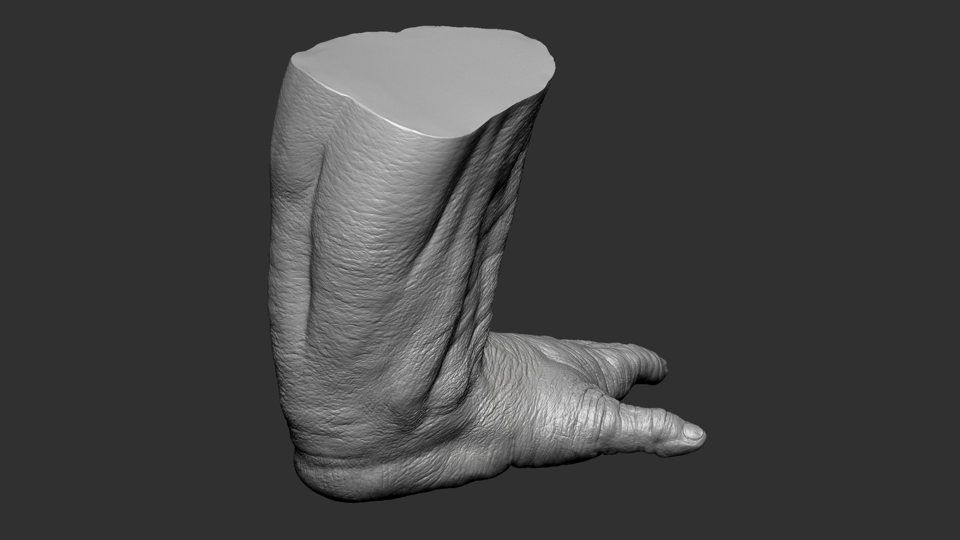 3D model Gorilla Feet https://p.turbosquid.com/ts-thumb/9f/XvRgQ8/y8/62/jpg/1642084272/1920x1080/fit_q87/30f1dbf0350bcfa8481cffab0f706b993603b6eb/62.jpg