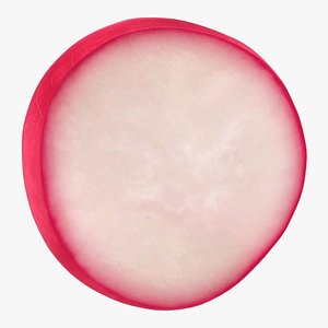 realistic radish slice 3D model