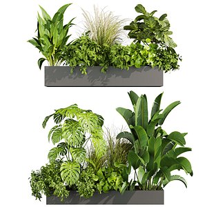 plant vol 894 - monstera - banana - indoor - grass 3D model