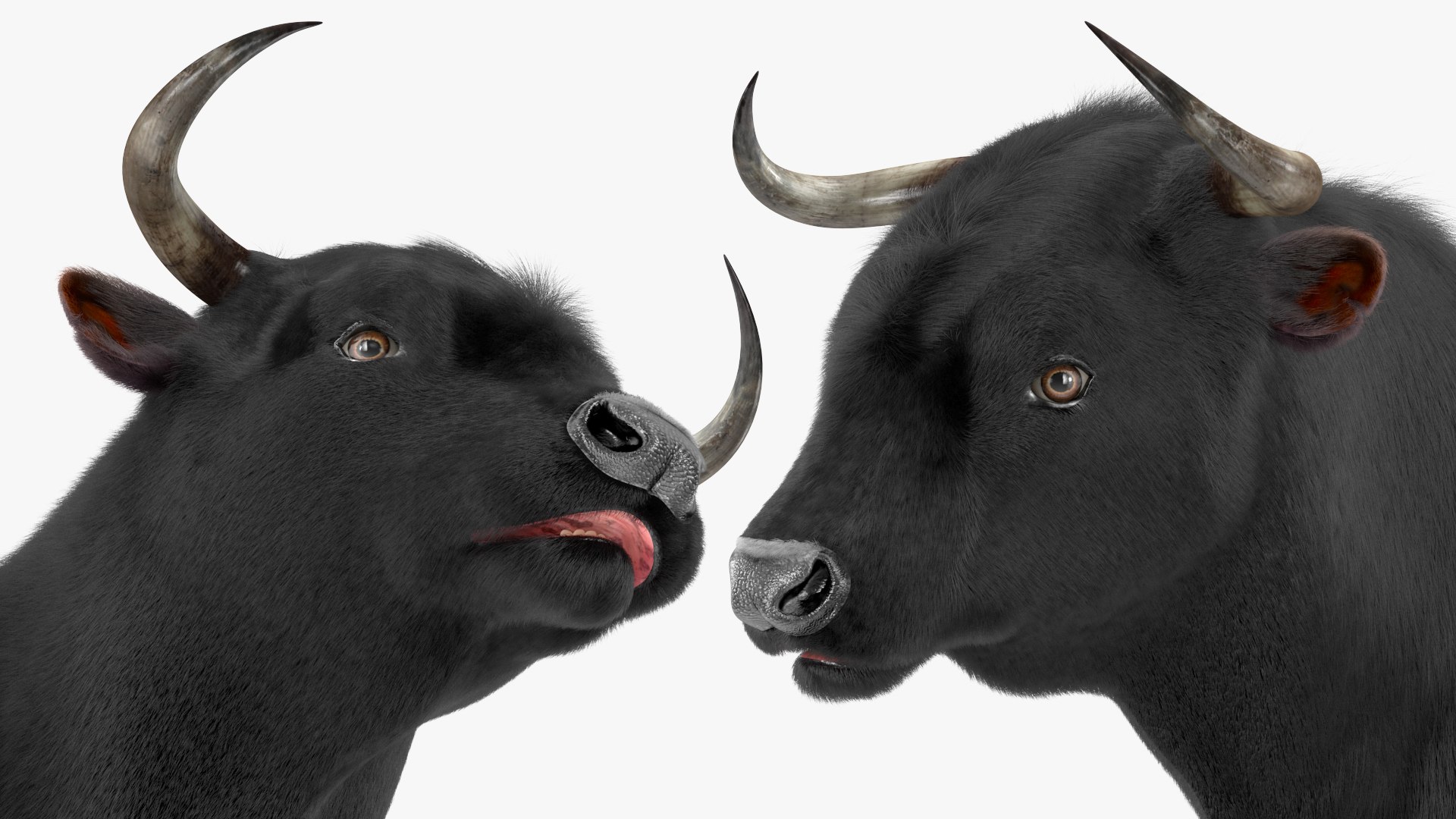 Black Bull Fur 3D - TurboSquid 1984593