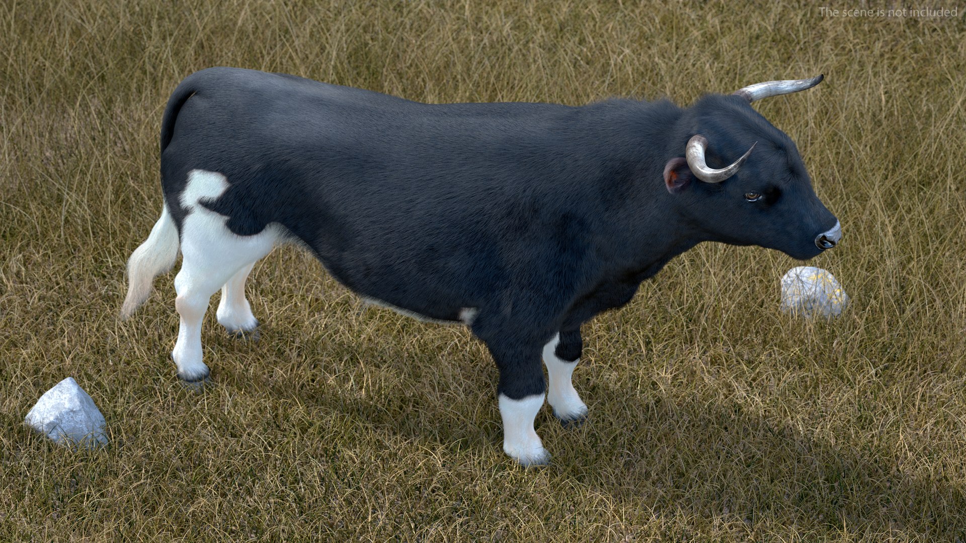Black Bull Fur 3D - TurboSquid 1984593