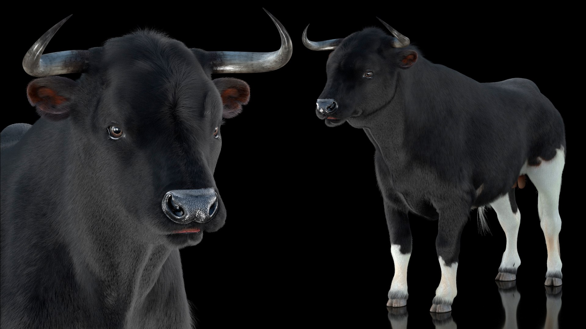 Black Bull Fur 3D - TurboSquid 1984593