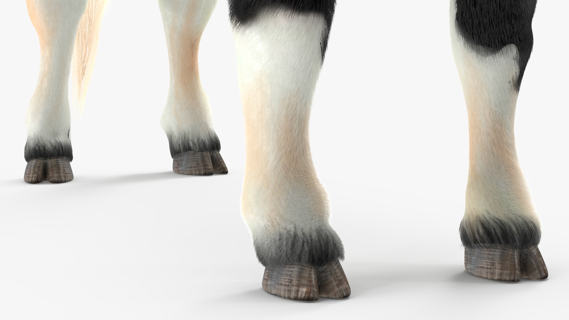 Black Bull Fur 3D - TurboSquid 1984593