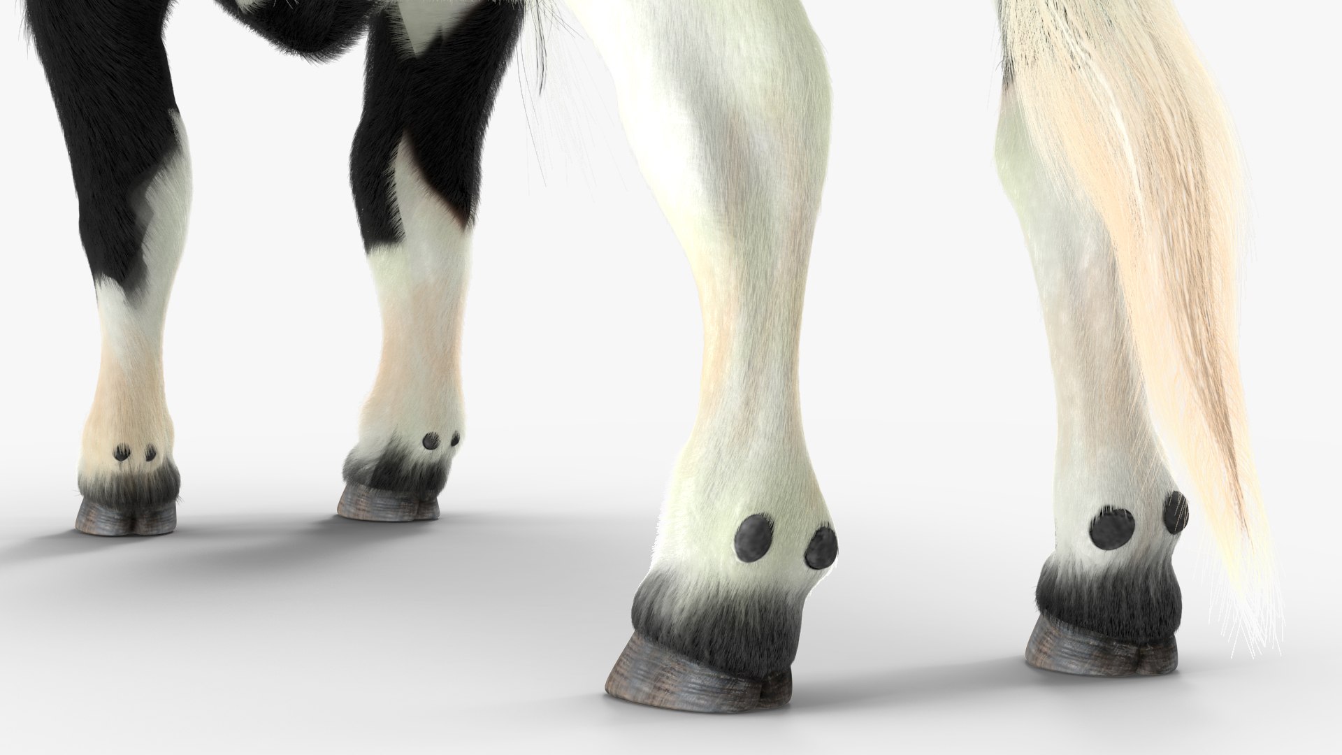 Black Bull Fur 3D - TurboSquid 1984593