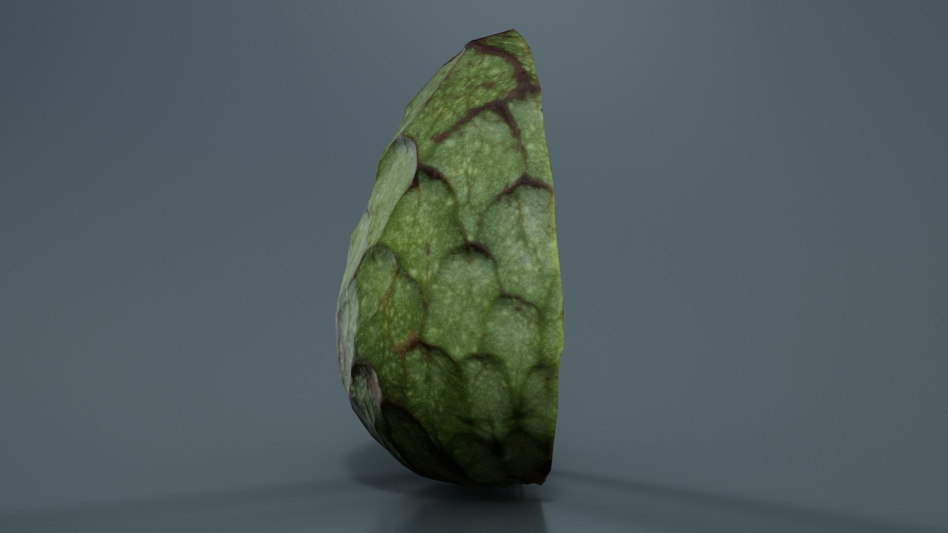 3D Artisjoke Half 2 Remastered model https://p.turbosquid.com/ts-thumb/9f/rOsvIA/kl/artisjoke_half_2_08/jpg/1740359661/1920x1080/fit_q87/91c24cd81638a146661e3c1630574a3944640891/artisjoke_half_2_08.jpg