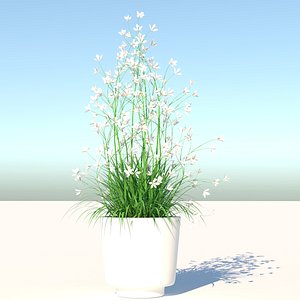 Flower 3D model