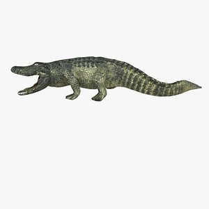 crocodile max