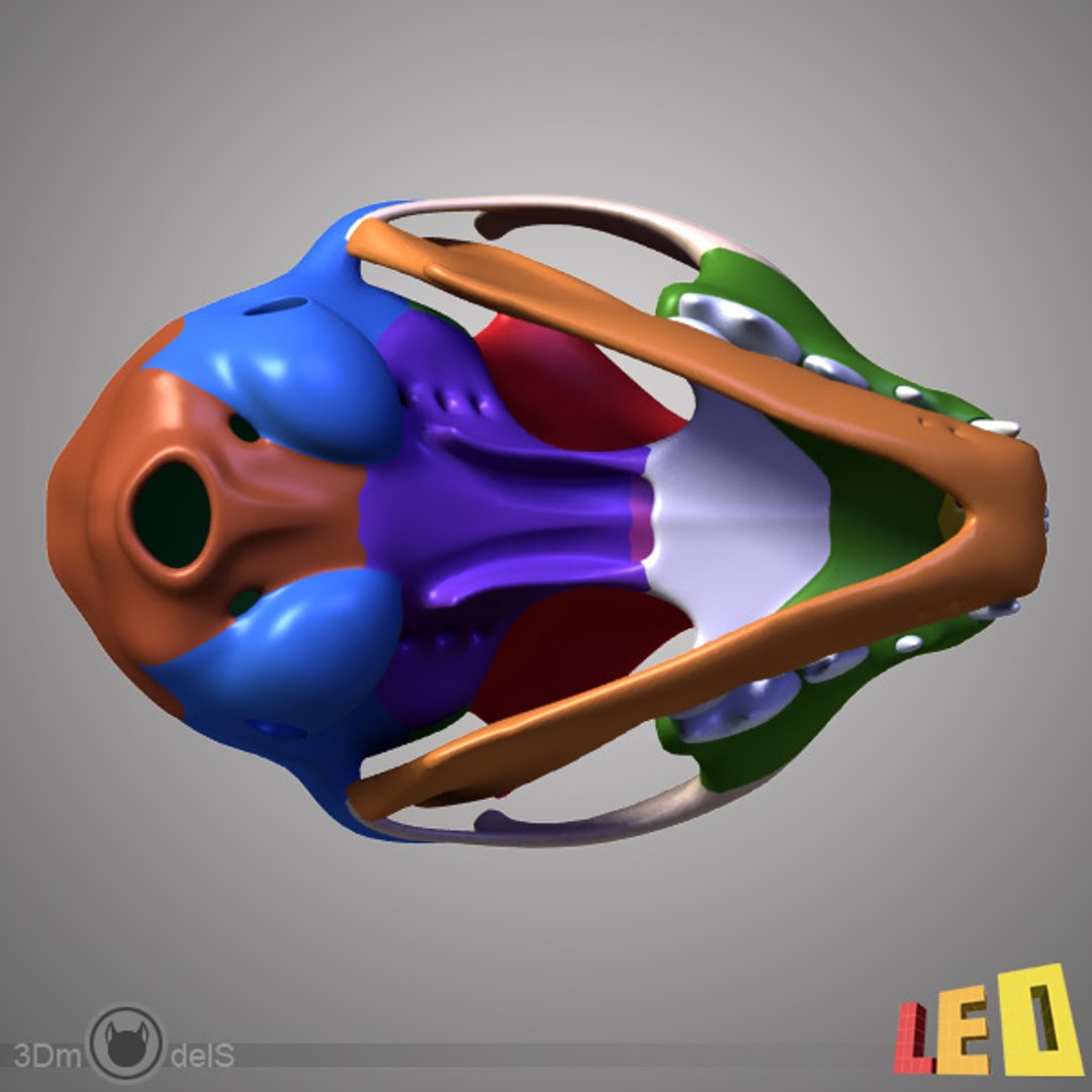 realistic cat skull 1 3d max https://p.turbosquid.com/ts-thumb/9g/FuMSbc/h7A0YIKo/cat_skull_t_06/jpg/1334325036/1920x1080/fit_q87/818288adacfca2907ceb841232bb360949f457e2/cat_skull_t_06.jpg